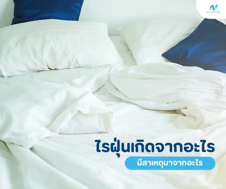บทความสุขภาพ: ไรฝุ่นเกิดจากอะไร และมาได้ยังไง? เข้าใจง่าย ป้องกันได้จริง!