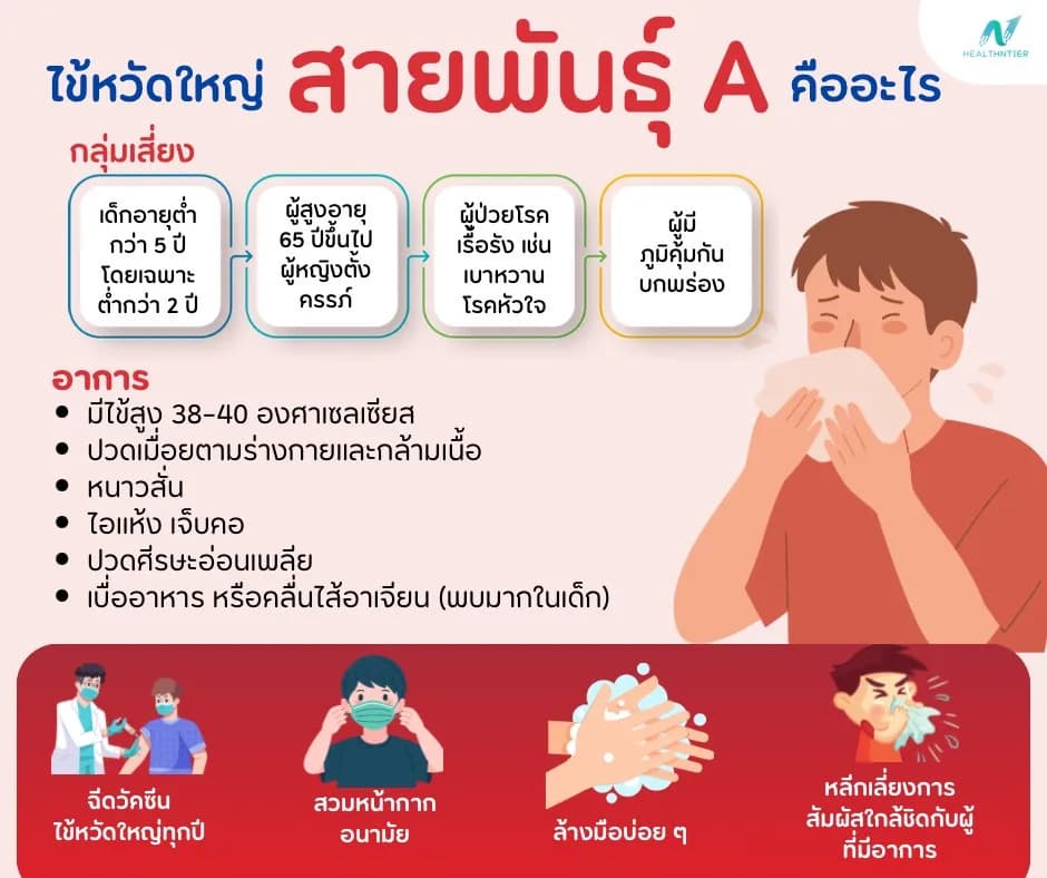 ภาพประกอบ: ไข้หวัดใหญ่สายพันธุ์ A คืออะไร? อาการ รักษา และการป้องกันที่ควรรู้