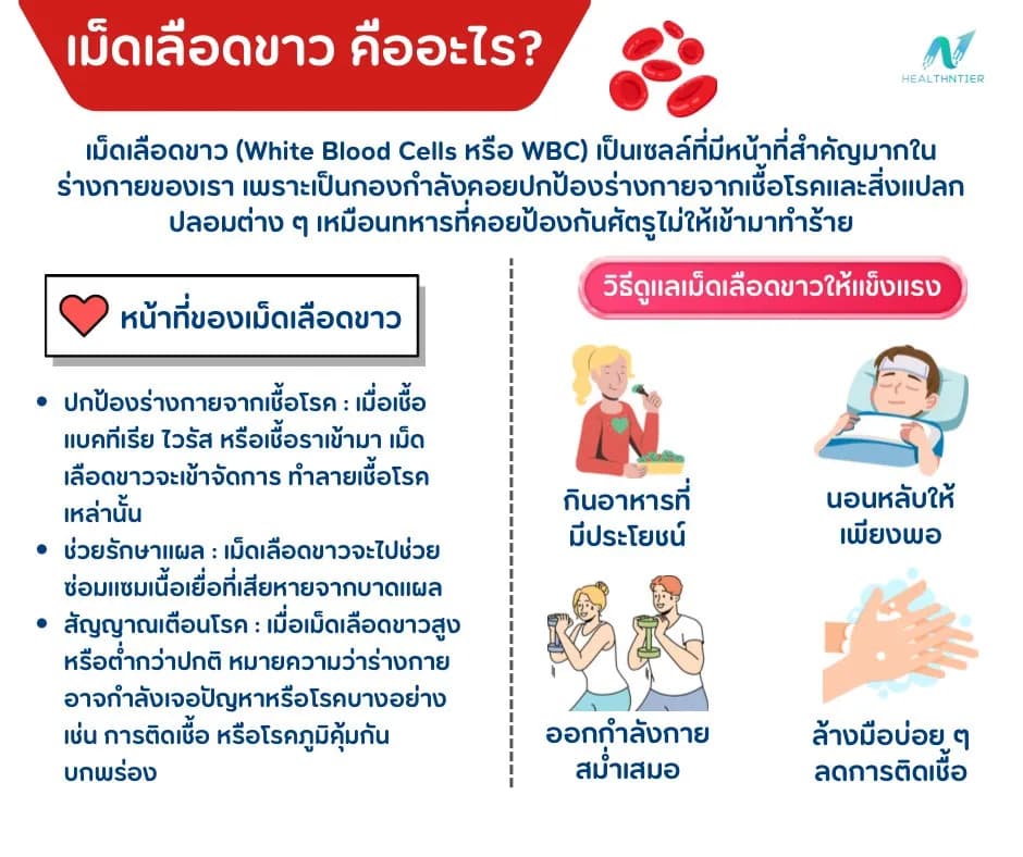 ภาพประกอบด้านสุขภาพ: เม็ดเลือดขาว คืออะไร? รู้จักหน้าที่และวิธีดูแลให้แข็งแรงสำหรับทุกวัย