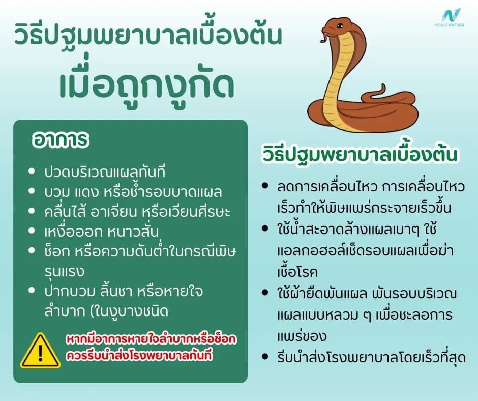 บทความสุขภาพ: โดนงูกัดต้องทำอย่างไร? วิธีปฐมพยาบาลเบื้องต้น พร้อมเคล็ดลับ