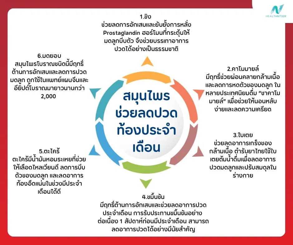 บทความสุขภาพ: สมุนไพรช่วยลดปวดท้องประจำเดือน ทางเลือกธรรมชาติที่ได้ผลจริง