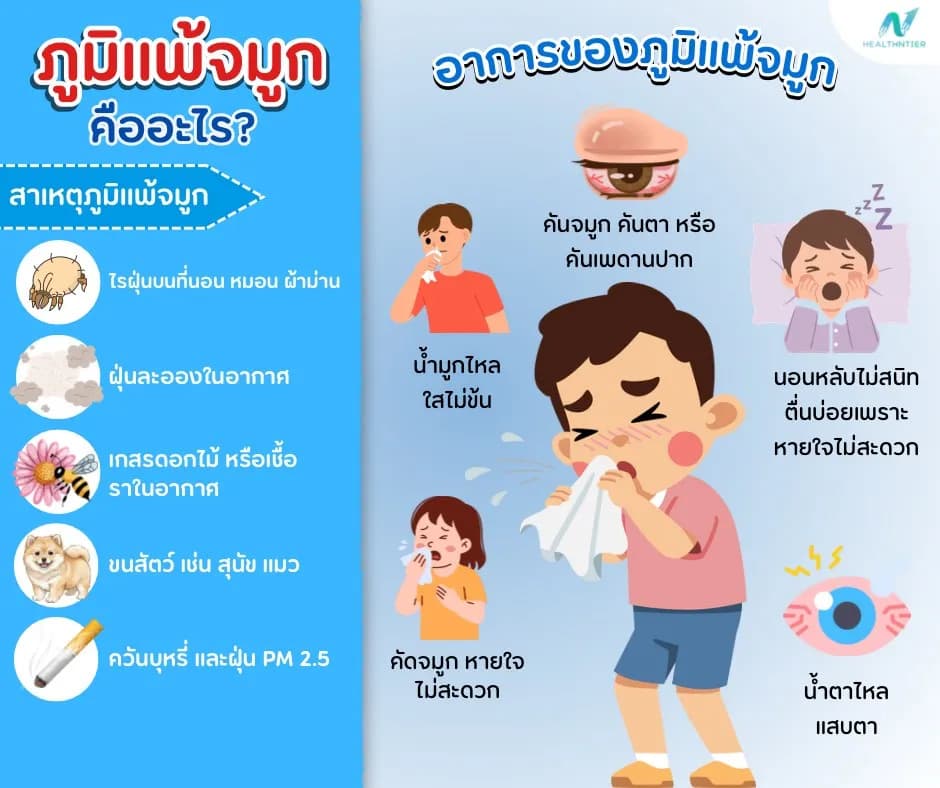 บทความสุขภาพ: ภูมิแพ้จมูก (Allergic Rhinitis) คืออะไร? อาการ สาเหตุ และวิธีดูแลตัวเองให้อาการดีขึ้น