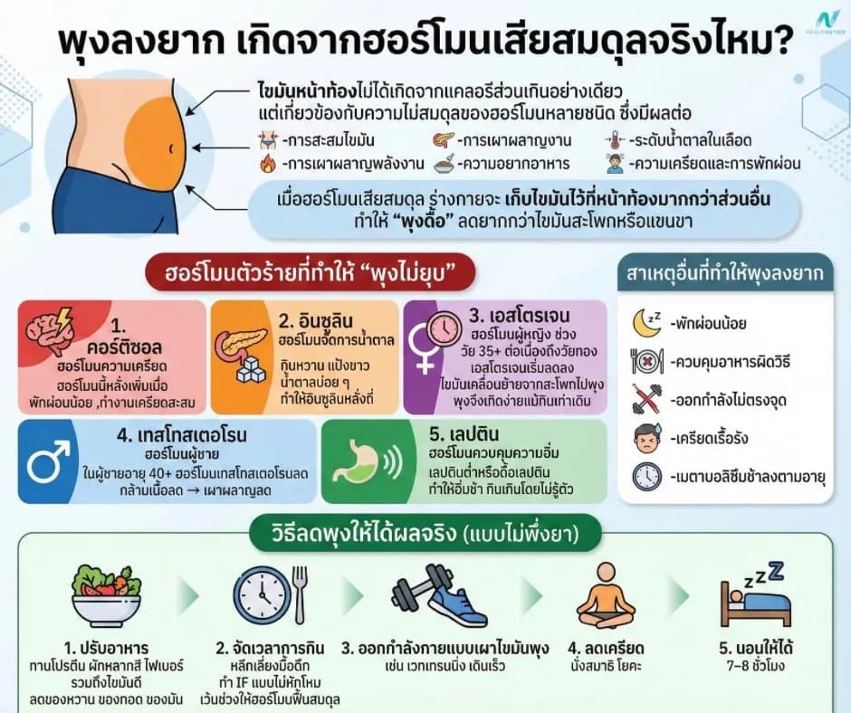 ภาพประกอบด้านสุขภาพ: พุงลงยาก เกิดจากฮอร์โมนเสียสมดุลจริงไหม? วิธีลดพุงให้เห็นผล