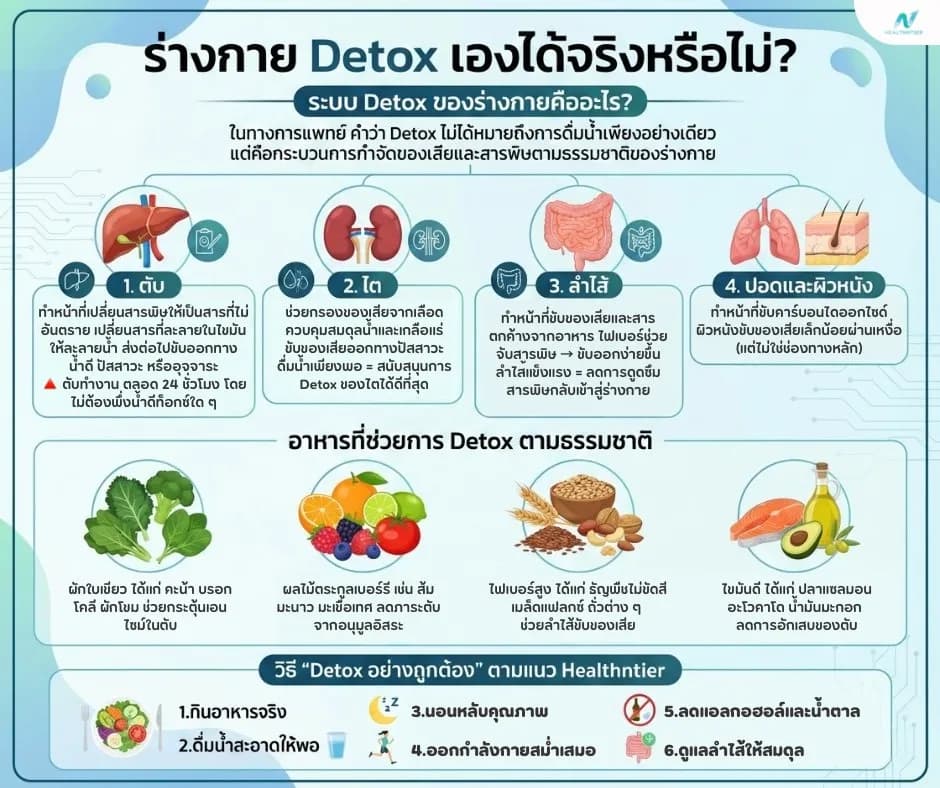 ภาพประกอบด้านสุขภาพ: ร่างกาย Detox เองได้จริงหรือไม่? ไขความจริงแบบแพทย์อธิบาย