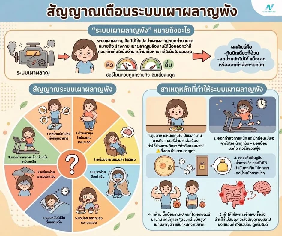 บทความสุขภาพ: ระบบเผาผลาญพังคืออะไร? ทำไมลดน้ำหนักไม่ลง ทั้งที่กินน้อยและออกกำลังกาย