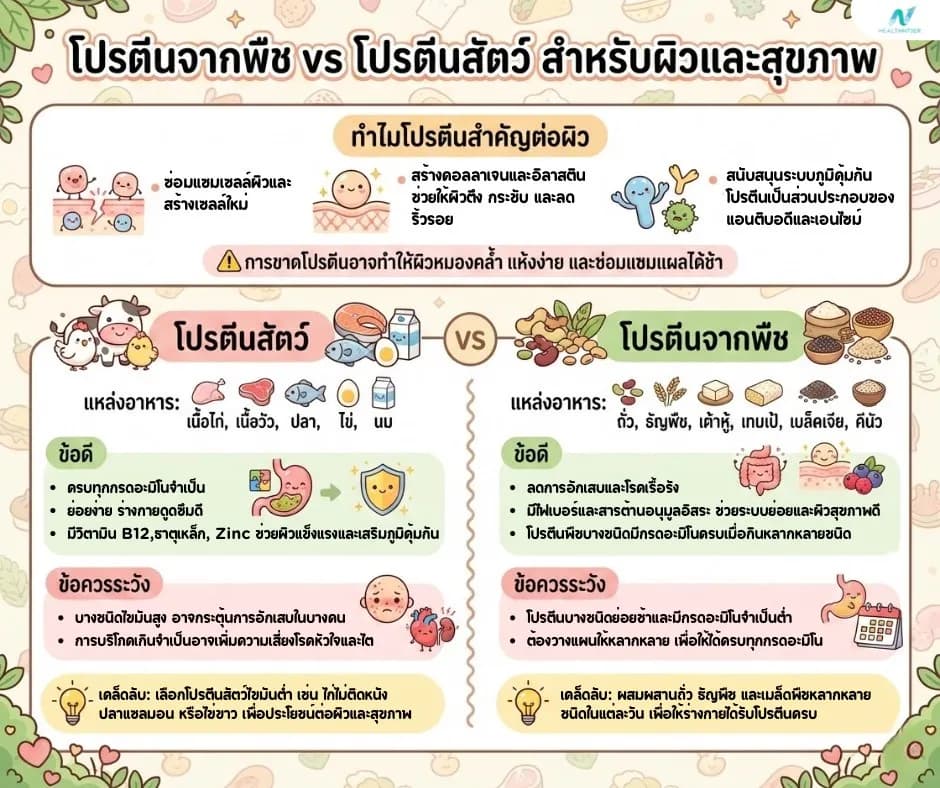 ภาพประกอบด้านโภชนาการ: โปรตีนจากพืช vs โปรตีนสัตว์ สำหรับผิวและสุขภาพ