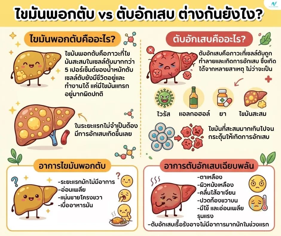 ภาพประกอบด้านสุขภาพ: ไขมันพอกตับ vs ตับอักเสบ ต่างกันยังไง? อันไหนอันตรายกว่า