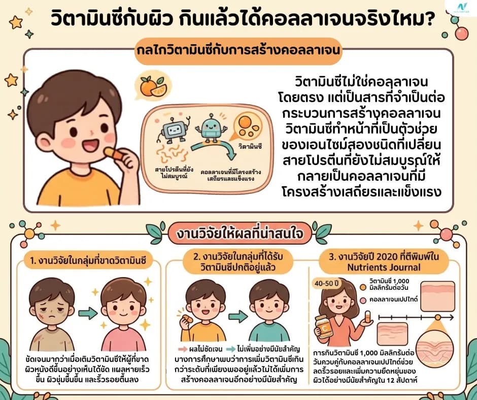 ภาพประกอบบทความ: วิตามินซีกับผิว กินแล้วได้คอลลาเจนจริงไหม? งานวิจัยตอบ