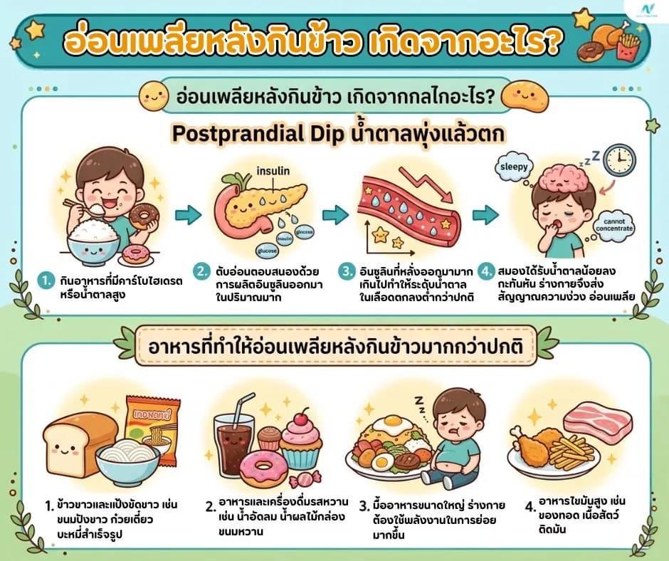 ภาพประกอบด้านสุขภาพ: อ่อนเพลียหลังกินข้าว เกิดจากอะไร? สัญญาณเบาหวานไหม