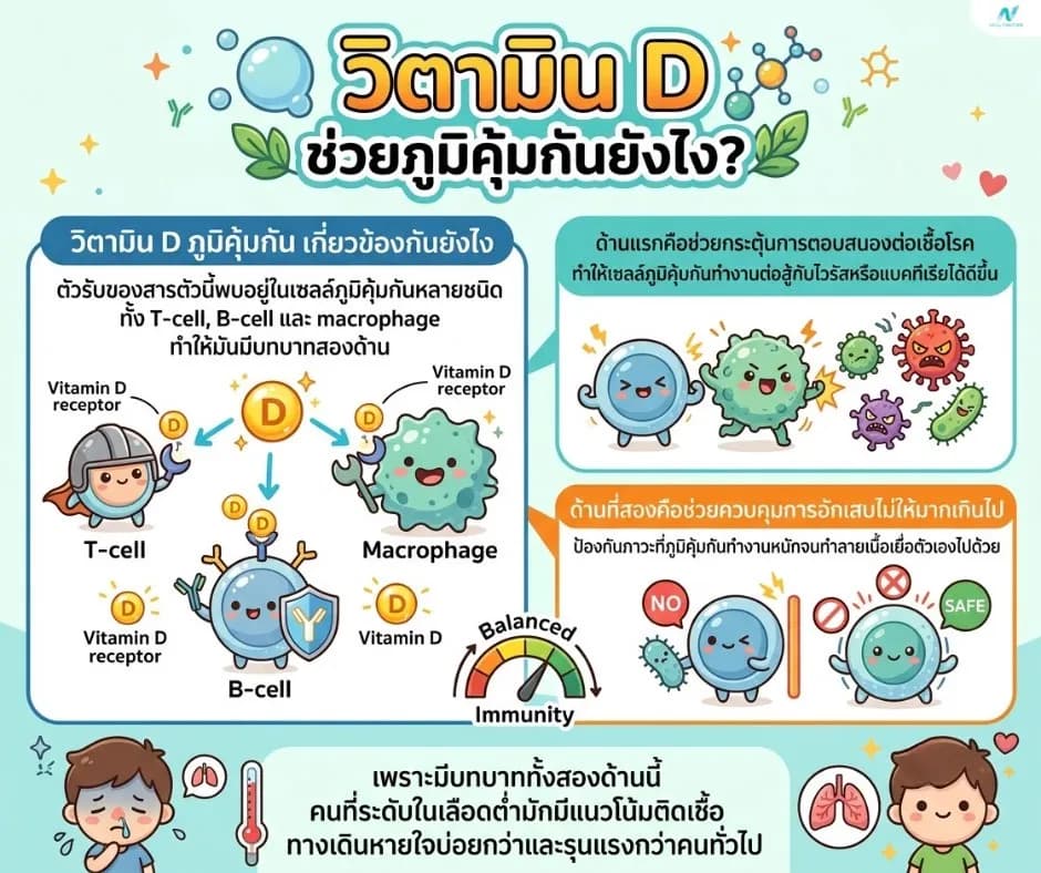 ภาพประกอบด้านโภชนาการ: วิตามิน D ช่วยภูมิคุ้มกันยังไง? กินช่วยป้องกันหวัดได้จริงไหม