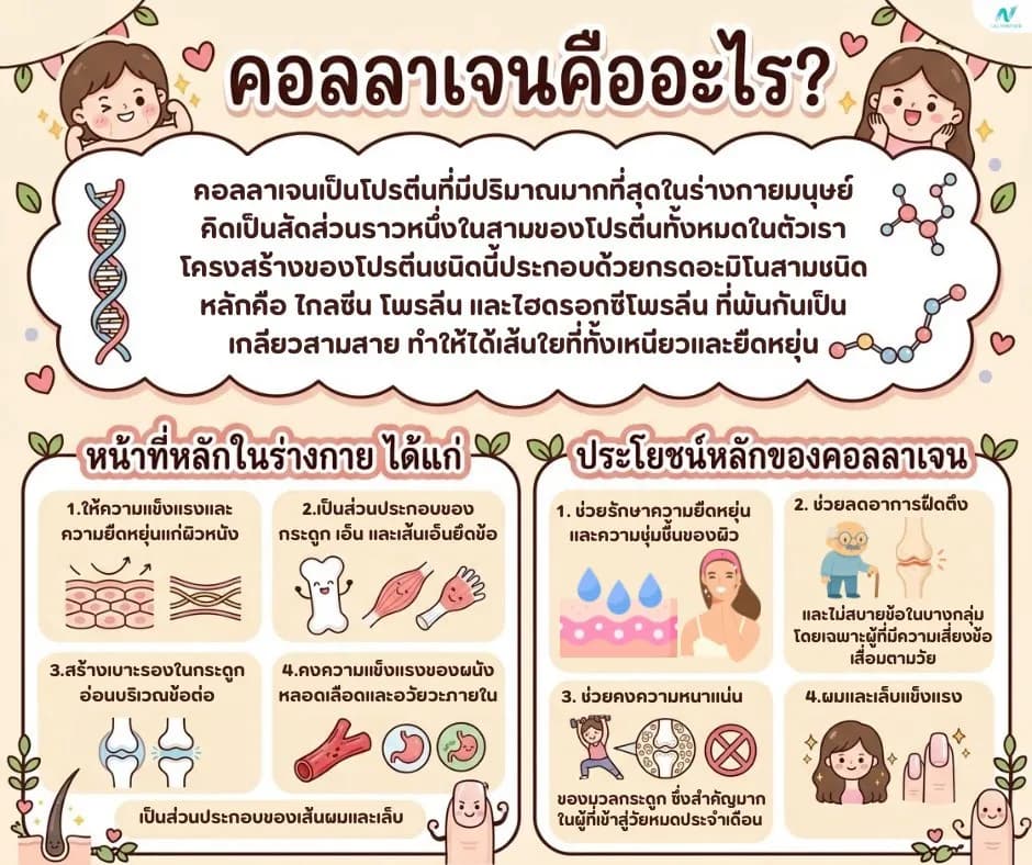 ภาพประกอบด้านโภชนาการ: คอลลาเจนคืออะไร? ประโยชน์ ประเภท และวิธีกินให้ได้ผลจริง