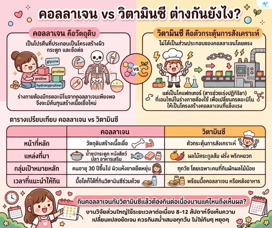บทความสุขภาพ: คอลลาเจน vs วิตามินซี ต่างกันยังไง? กินคู่กันได้ผลจริงไหม