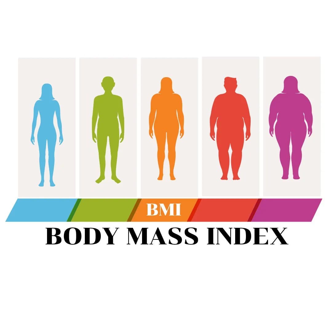 โปรแกรม โปรแกรม BMI