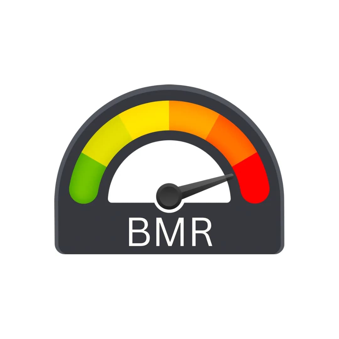 โปรแกรม โปรแกรม BMR