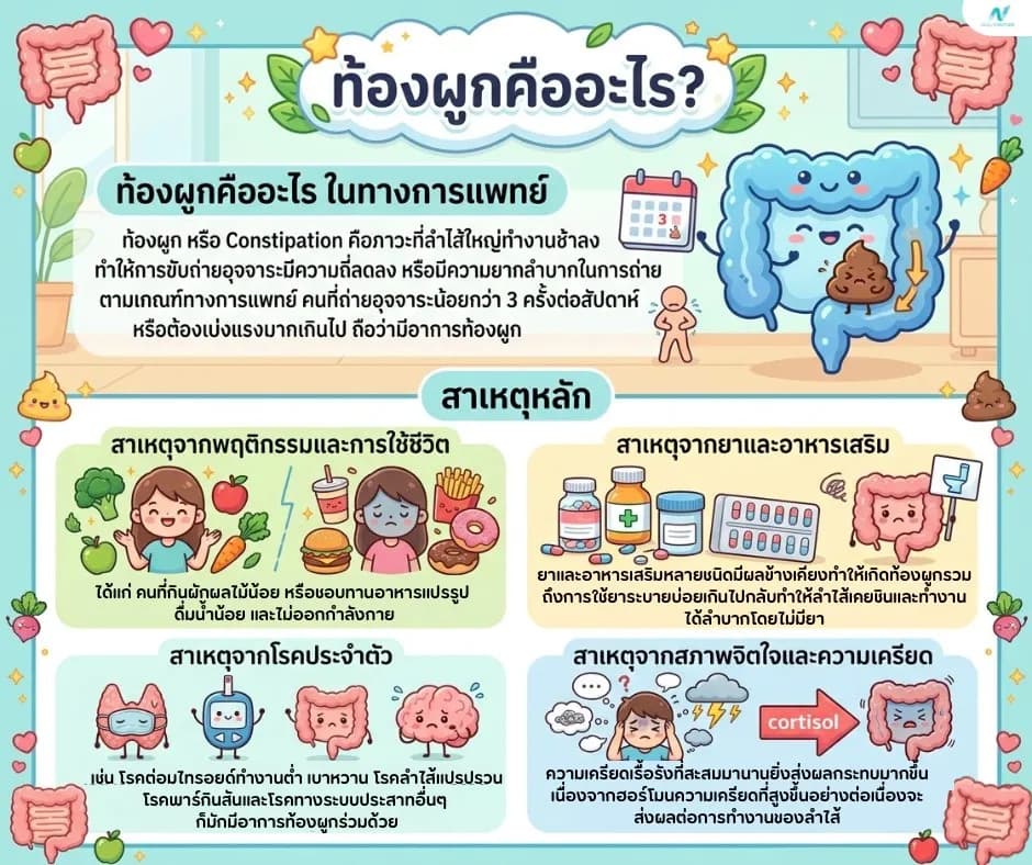 ภาพประกอบด้านสุขภาพ: ท้องผูก คืออะไร? สาเหตุ อาการ และวิธีแก้