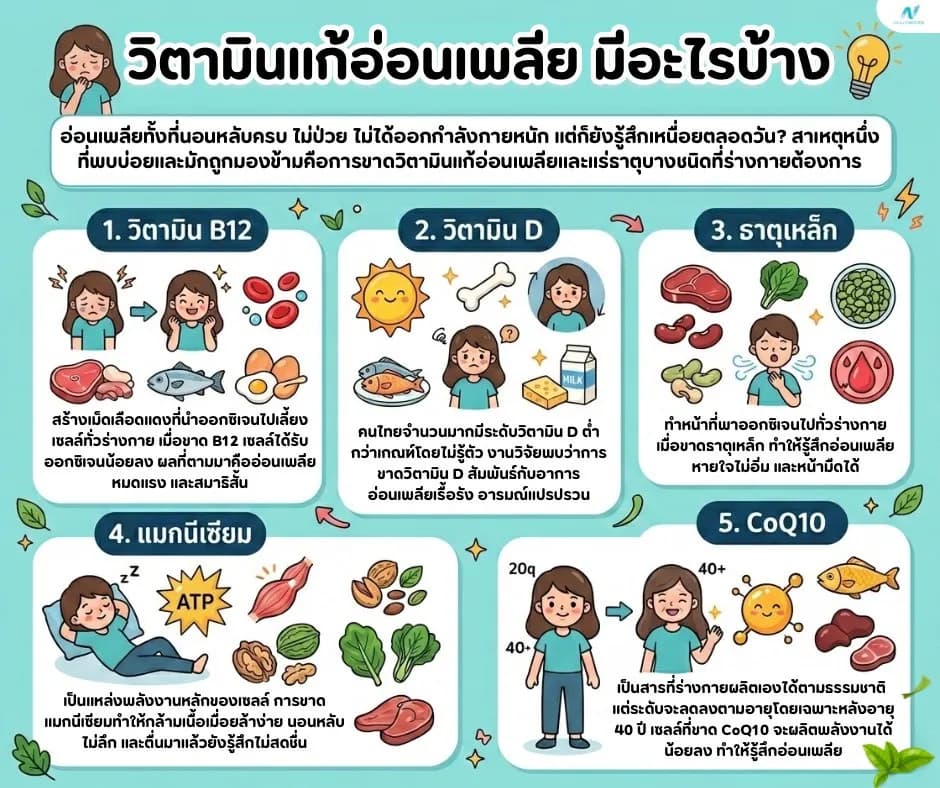 ภาพประกอบด้านโภชนาการ: วิตามินแก้อ่อนเพลีย กินอะไรดี? อาหารเสริมที่ช่วยได้จริง