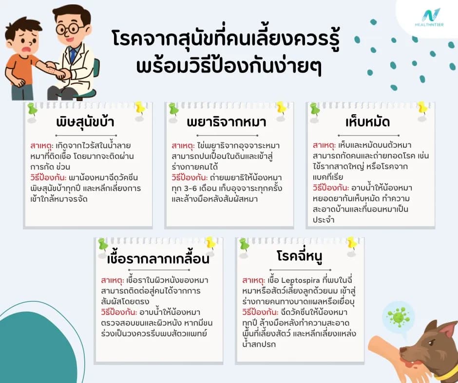 ภาพประกอบ: โรคจากสุนัข อันตรายที่เจ้าของหมาต้องรู้ วิธีเลี้ยงหมาแบบปลอดภัย