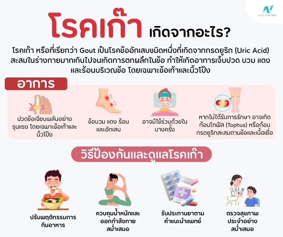 ภาพประกอบ: โรคเก๊าเกิดจากอะไร? สาเหตุ อาการ และวิธีป้องกันโรคเก๊าแบบเข้าใจง่าย