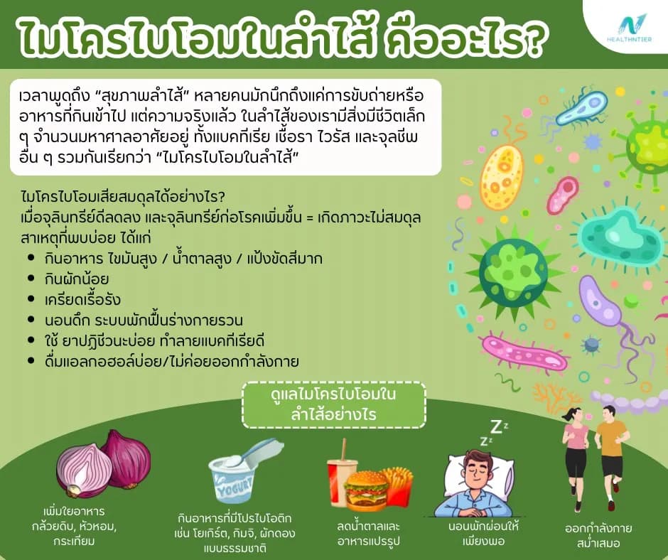 ภาพประกอบด้านสุขภาพ: ไมโครไบโอมในลำไส้คืออะไร? สำคัญต่อสุขภาพอย่างไร และดูแลให้สมดุลได้อย่างไร