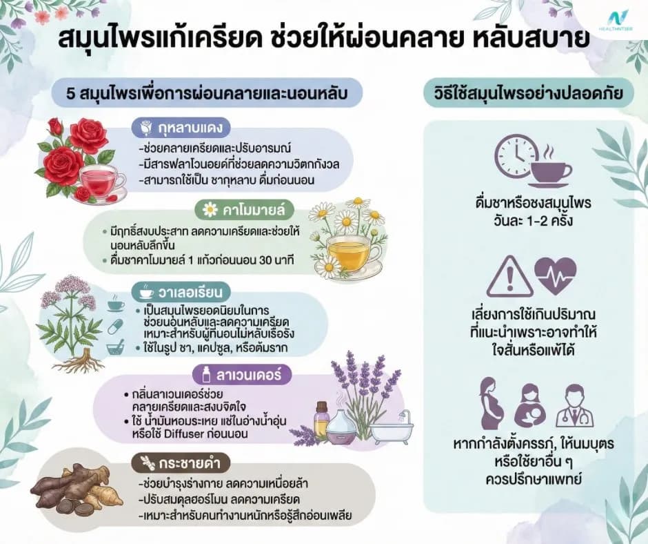 ภาพประกอบด้านสุขภาพ: สมุนไพรแก้เครียด หลับสบาย วิธีใช้และดูแลตัวเองอย่างปลอดภัย