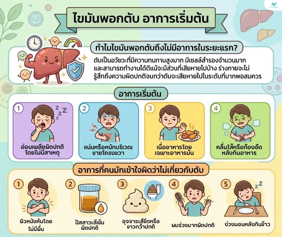 ภาพประกอบ: ไขมันพอกตับ อาการเริ่มต้น สังเกตได้จากอะไร?