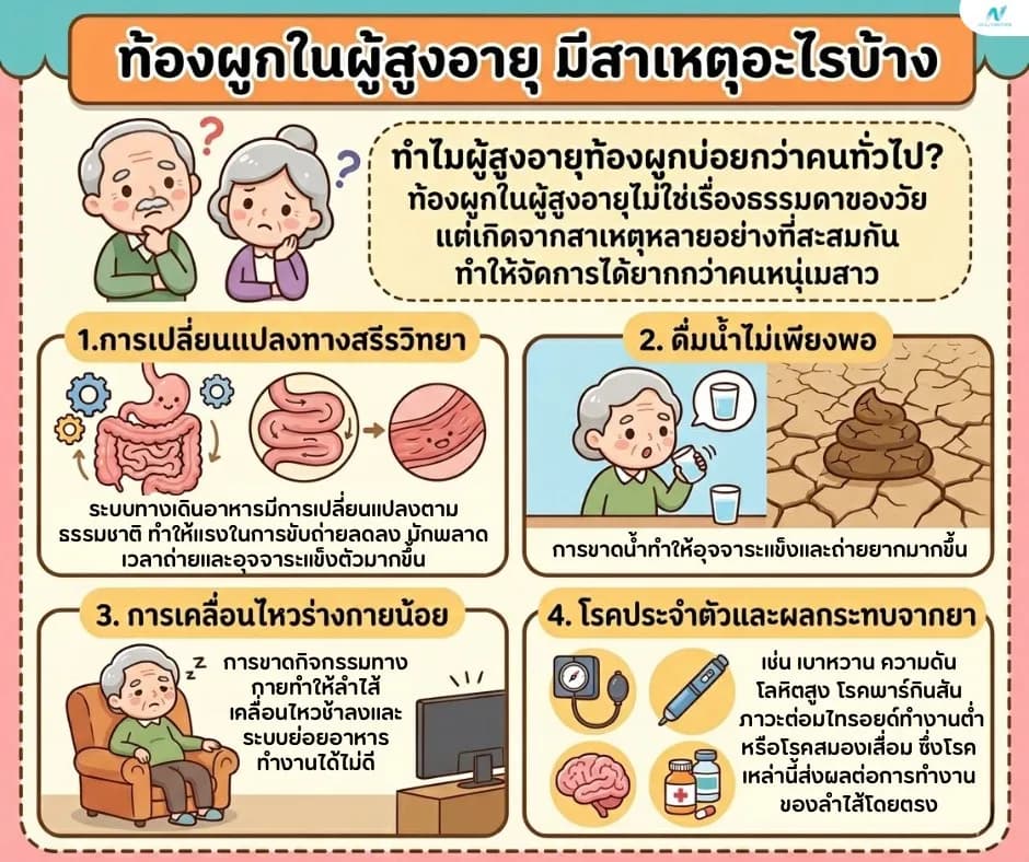 ภาพประกอบด้านสุขภาพ: ท้องผูกผู้สูงอายุ สาเหตุ วิธีดูแล และอาหารที่เหมาะสม