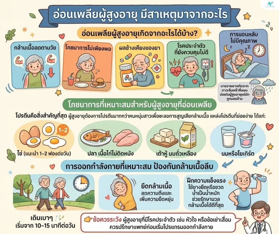 ภาพประกอบ: อ่อนเพลียผู้สูงอายุ สาเหตุและวิธีดูแล