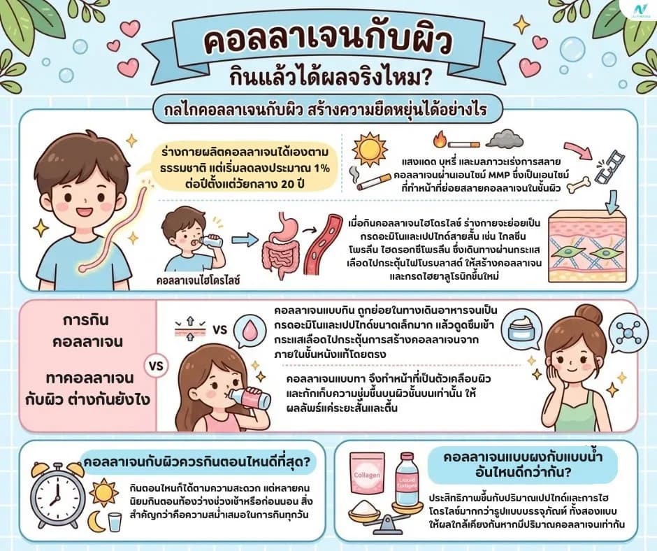 ภาพประกอบบทความ: คอลลาเจนกับผิว กินแล้วได้ผลจริงไหม? เช็กงานวิจัยก่อนซื้อ