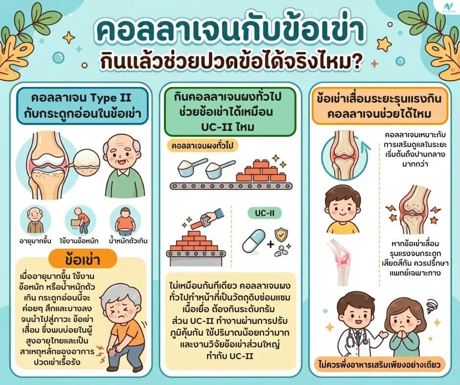 ภาพประกอบด้านสุขภาพ: คอลลาเจนกับข้อเข่า กินแล้วช่วยปวดข้อได้จริงไหม? ไขคำตอบ