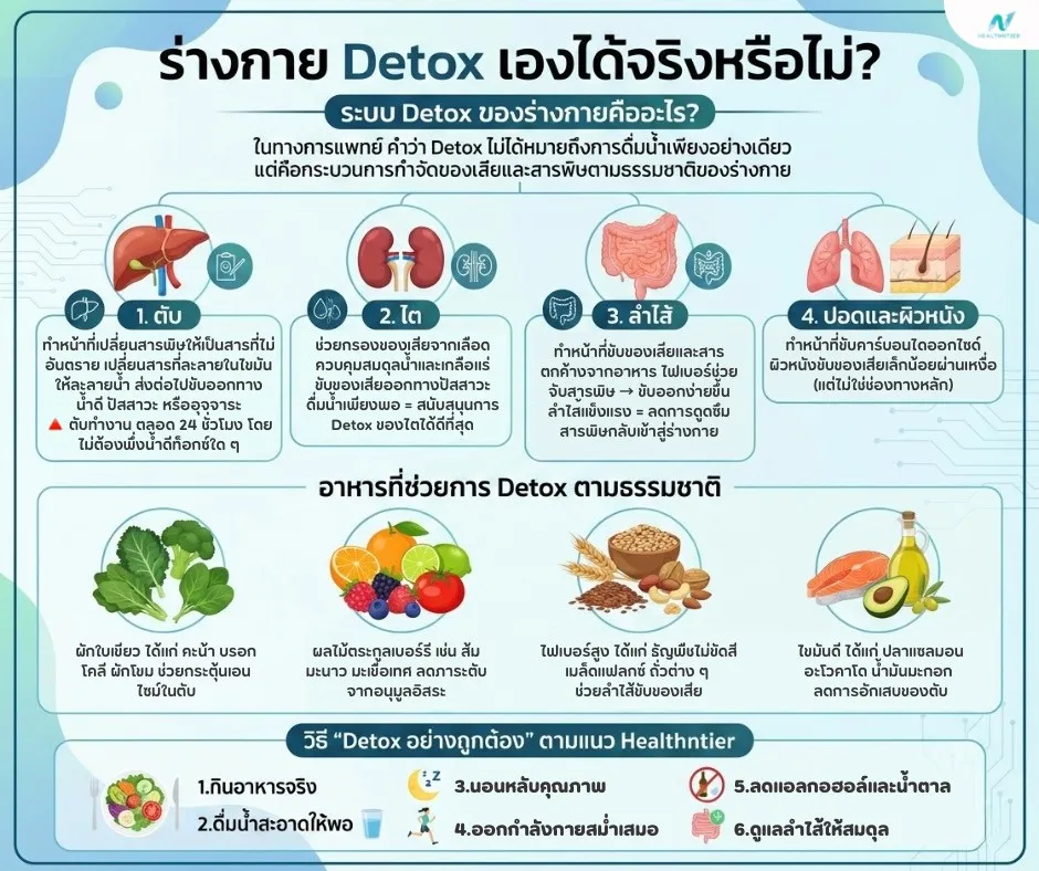 ภาพประกอบด้านสุขภาพ: ร่างกาย Detox เองได้จริงหรือไม่? ไขความจริงแบบแพทย์อธิบาย