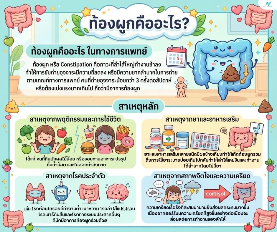 ภาพประกอบด้านสุขภาพ: ท้องผูก คืออะไร? สาเหตุ อาการ และวิธีแก้