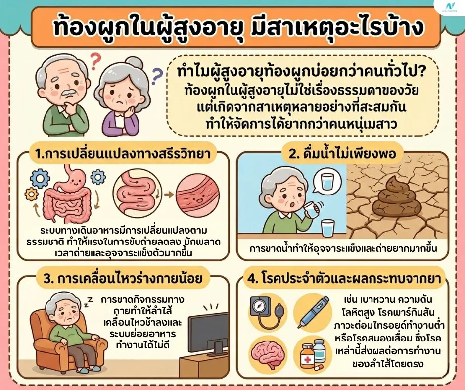 ภาพประกอบด้านสุขภาพ: ท้องผูกผู้สูงอายุ สาเหตุ วิธีดูแล และอาหารที่เหมาะสม